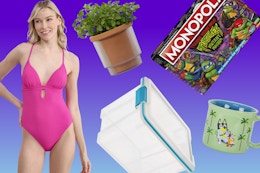 $2 Planters? $5 Games? $8 Swimwear? Walmart’s Basically Giving Stuff Away card image