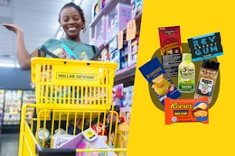 Current Dollar General Penny List: Huge List of Food Items for Nov. 10 card image