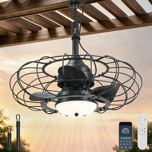 Outdoor Ceiling Fan with Light