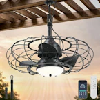 Outdoor Ceiling Fan with Light