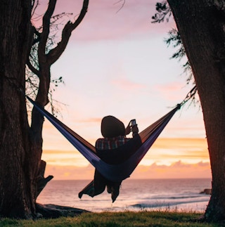 kohls coalatree loafer hammock