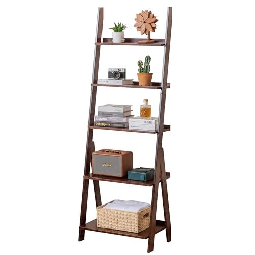 Bamboo Ladder Shelf