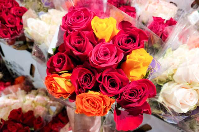 Bloom Haus Dozen Roses, Only $6.99 at Kroger (Reg. $12) card image