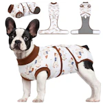 Dog Surgery Recovery Suit