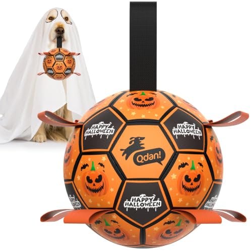 Halloween Dog Soccer Ball