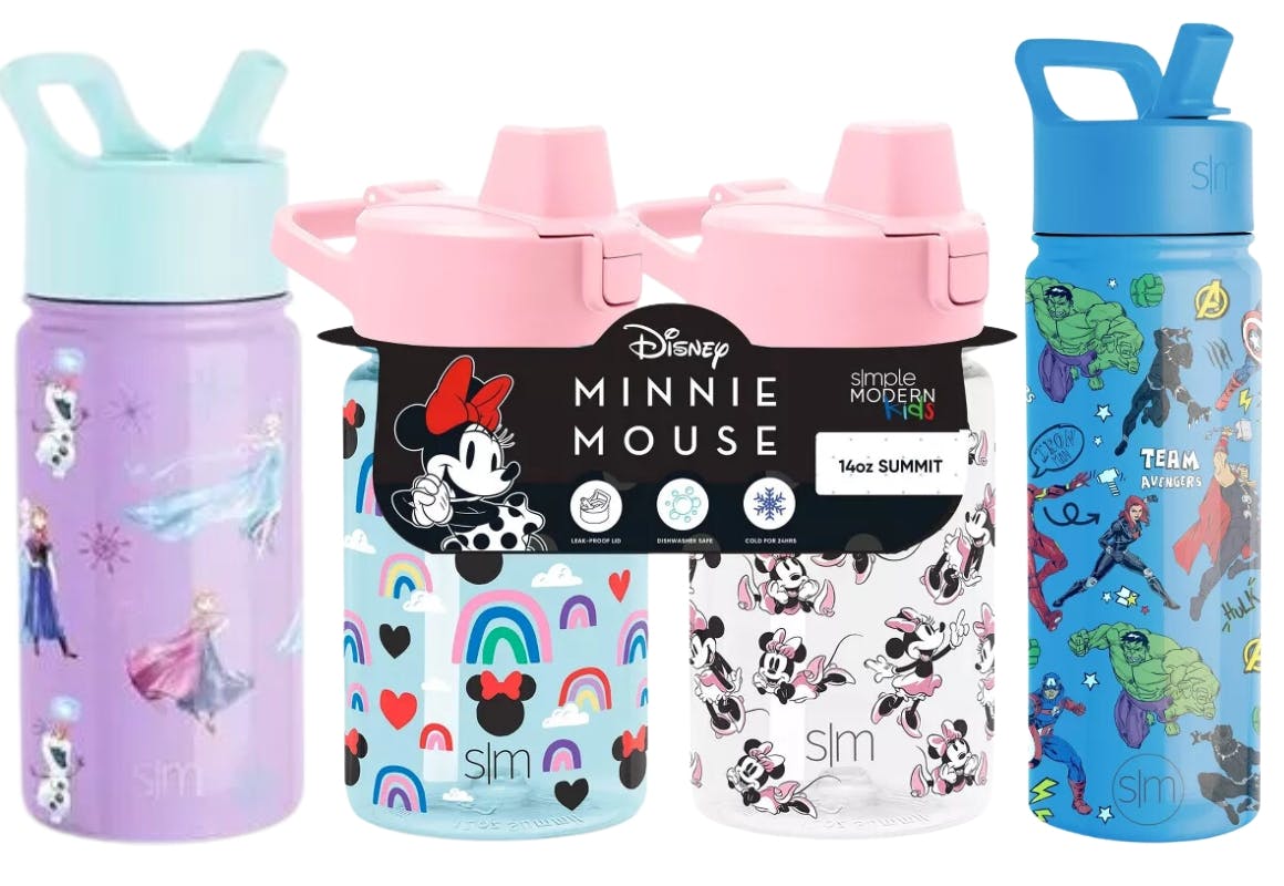 3 Disney Summit Water Bottle