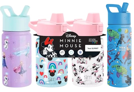 3 Disney Summit Water Bottle