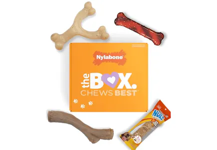 Nylabone Dog Gift Box
