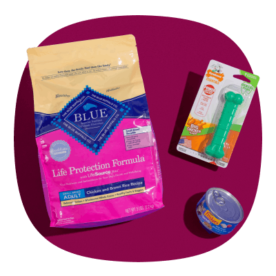 Squircle shaped image of Pet themed commercial photography