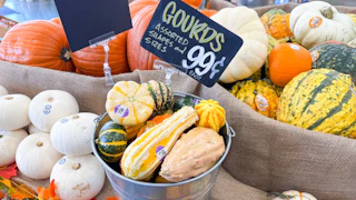 trader-joes-sept-4