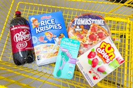 dr pepper, rice krispies, tombstone, skintimate, funables in a dollar general shopping cart