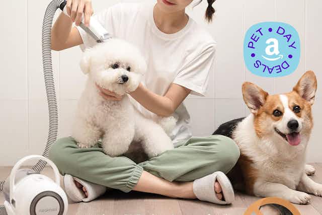 Pet Grooming Vacuums, Starting at $70 for Amazon Pet Day card image