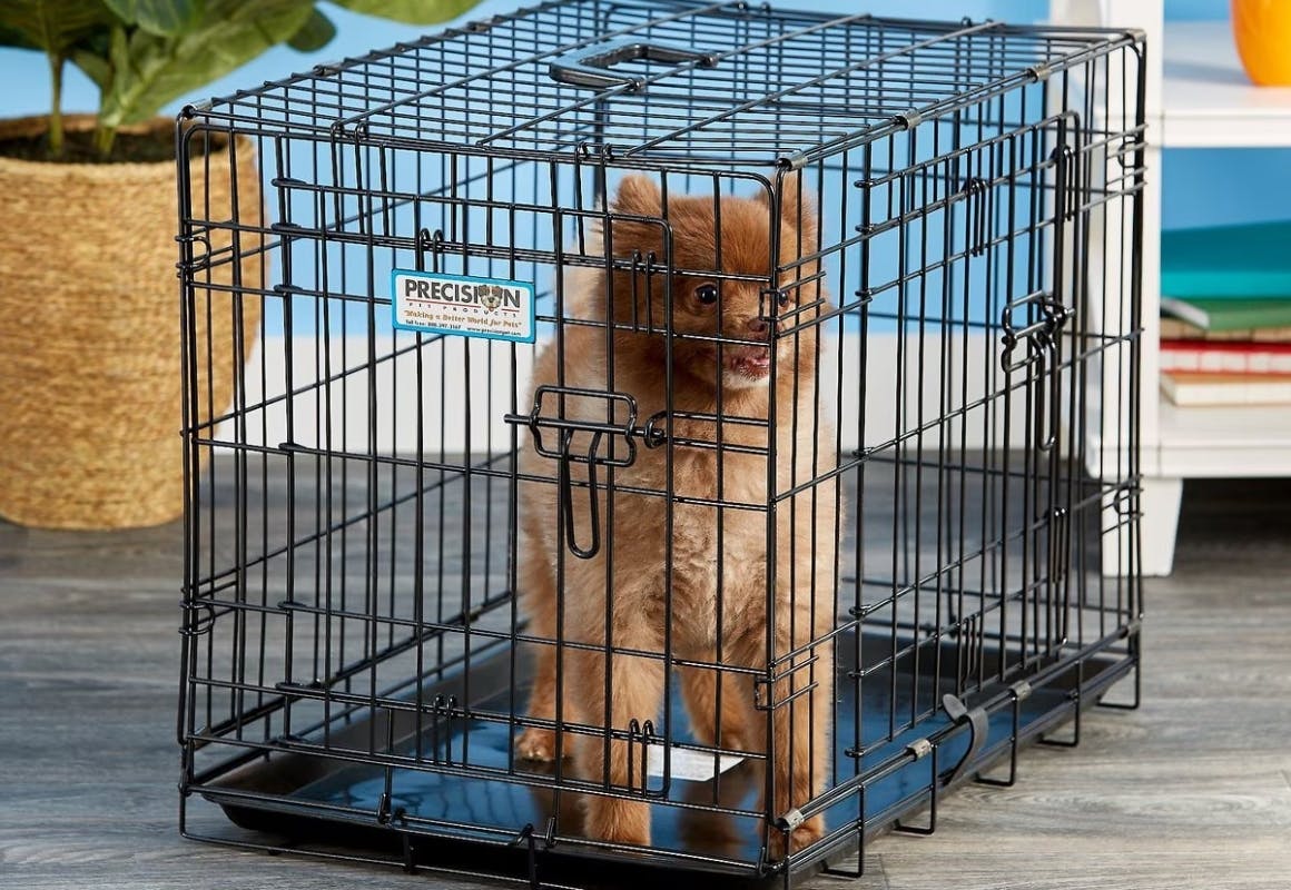 Precision Pet Products Wire Dog Crate