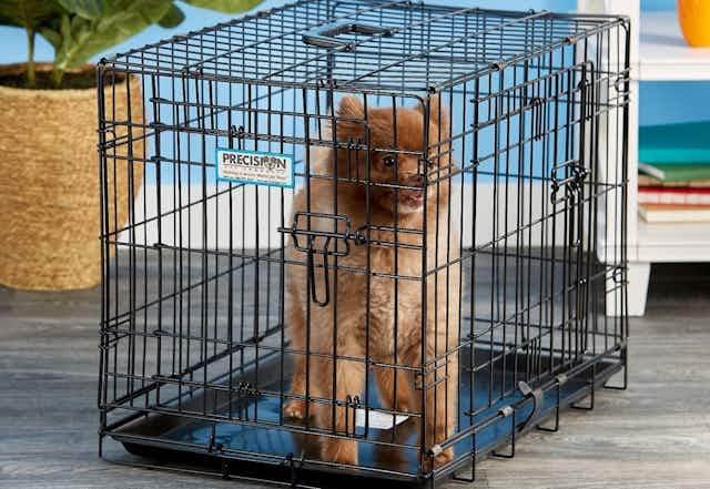 Dog Crates, as Low as $34 at Chewy card image
