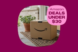 amazon-deals-under-30-10