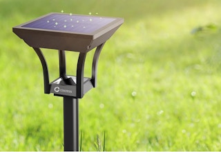 solar light in grass