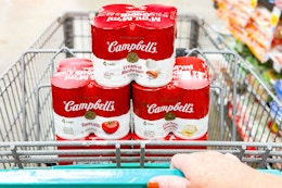 campbells soup in shopping cart
