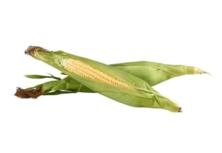 4 Fresh Corn