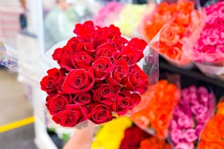 costco-2-dozen-roses