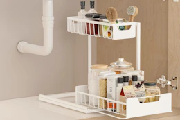 Under-Sink Organizer