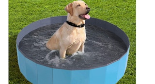 pet pool on amazon