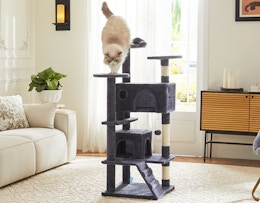 a cat on a cat tree