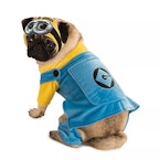 Minion Dog Halloween Costume