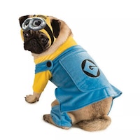 Minion Dog Halloween Costume