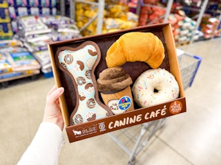 hand holding canine cafe dog toy set