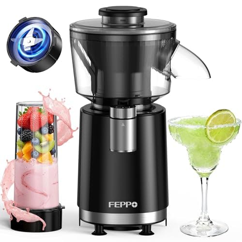 Snow Cone Machine & Smoothie Blender
