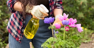 a person gardening