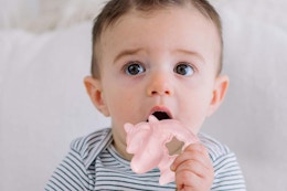 Itzy Ritzy Water-Filled Teether 3-Pack, Just $1.99 on Amazon card image