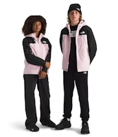 The North Face Teen Triclimate Jacket
