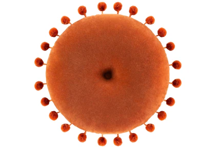 Velvet Pom Pom Throw Pillow