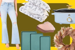 Walmart deals under $25 hybrid - Nov 5