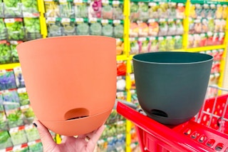 planters at target