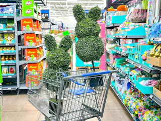 my texas house topiary walmart