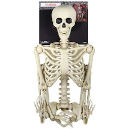 Skeleton