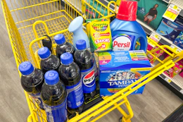 dollar general groceries in shopping cart