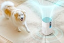 Lifestyle image of the Dreo HEPA Air Purifier being used near a dog (blurred background)