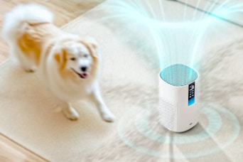 Lifestyle image of the Dreo HEPA Air Purifier being used near a dog (blurred background)