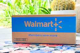 walmart-flash-deals-3