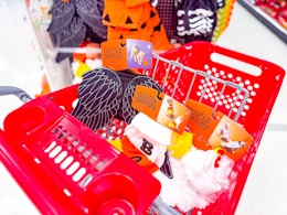 Target Boots & Barkley pet costumes