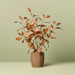 Hearth & Hand Eucalyptus Arrangement