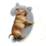 Dog Calming Pillow