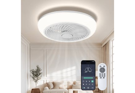 Ceiling Fan Light