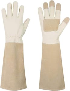 Pruning Gloves