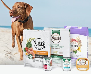 Nutro Natural Choice Adult Healthy Weight Dry Dog Food