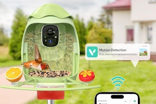 smart bird feeder