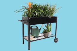 This Raised Garden Bed Planter Box Is $33 Shipped at QVC card image